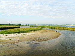 Fahrt der Segel-AG des TGG nach Hohwacht 2008: Wunderschöne Spaziergänge durch ein Naturschutzgebiet zu unserem Segelrevier (II)
