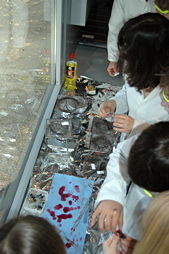 Foto vom Besuch des Discovery Trucks der Rijksuniversität Groningen 2010