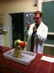 Halloween in der 6b