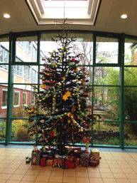 Foto vom Schmücken des Weihnachtsbaums 2013