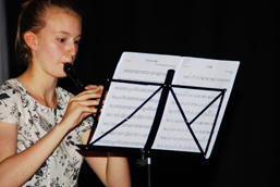 Foto von den Sommerkonzerten 2015