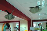 Foto von einem Projekt der Bibliotheks-AG 2014/15