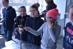 Foto vom Grundschul-Informationstag am 18.02.2016