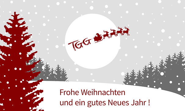 Weihnachtsgrußkarte des TGG im Schuljahr 2015/16
