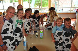 Foto vom Food-Festival des TGG am 20.06.2017