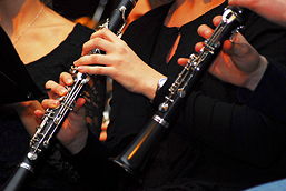 Foto eines Musikinstruments
