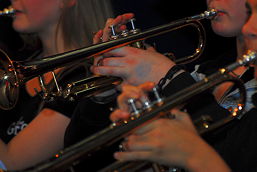 Foto eines Musikinstruments