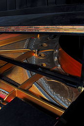 Foto eines Musikinstruments