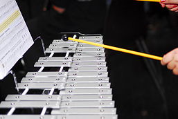 Foto eines Musikinstruments