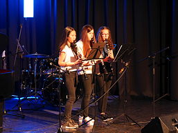 Foto vom Hausmusikabend 2017