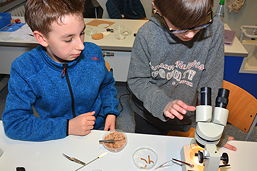 Foto vom Grundschul-Informationsnachmittag am 23.02.2017