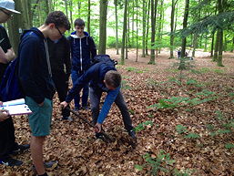 Foto von der Exkursion zum Heseler Wald 2016