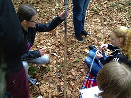 Foto von der Exkursion zum Heseler Wald 2016