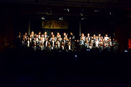 Foto von den Sommerkonzerten am TGG 2019