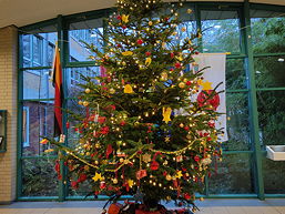 Foto von der Weihnachtsbaumaktion der 5d (November 2022)