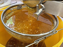 Das Foto zeigt, wie die Honeymakers den Honig gewinnen.