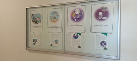 Das Foto zeigt den Schaukasten vor den Biologieräumen im TGG.