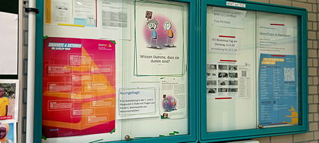 Das Foto zeigt den MINT-Schaukasten im Foyer des TGG.