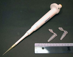 Foto einer Eppendorfpipette