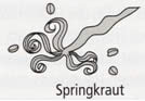 Springkraut