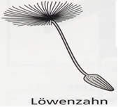 Löwenzahn