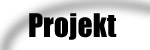 Das Projekt