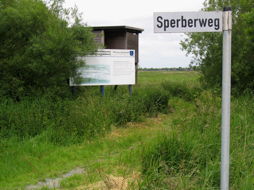 Foto vom Arbeitseinsatz der 8b in Coldam