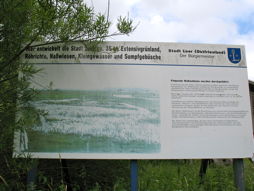 Foto vom Arbeitseinsatz der 8b in Coldam