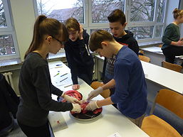 Foto vom Projekt