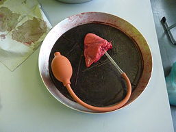 Foto vom Projekt