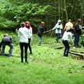 Foto der Aktion im Heseler Wald