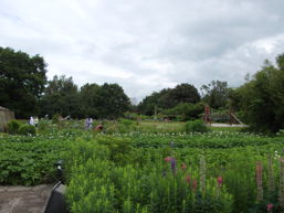 Foto von den Arbeiten in Ernst Pagels Garten