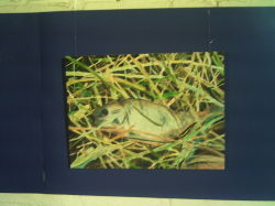 Foto von der Ausstellung zum Wasserprojekt